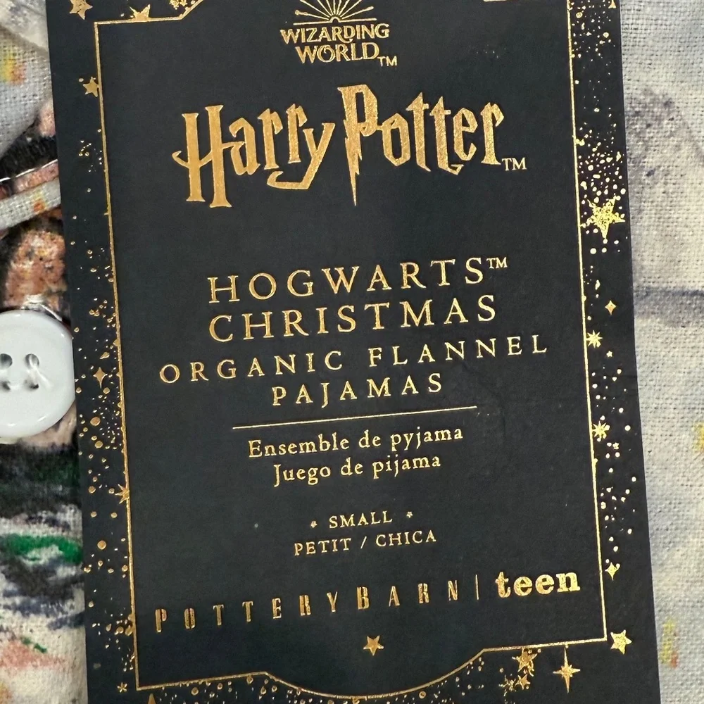 Harry Potter Hogwarts Teen Christmas Organic Flannel Pajama Set - PBT